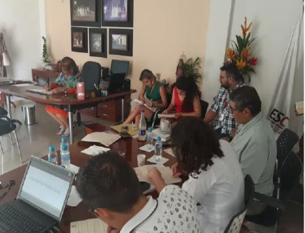 Figura 1, Focus Group a expertos académicos