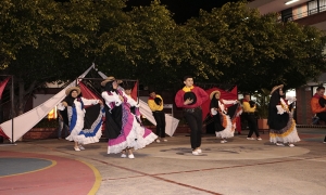 Festival Danzas - FESC